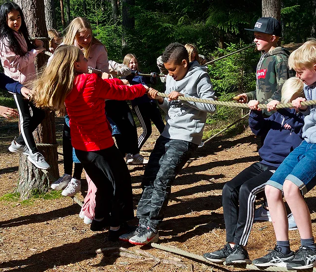 Skogen i skolan